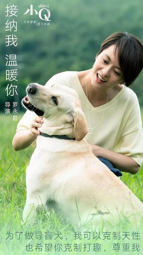 做假日本公立鸟取环境大学文凭毕业证